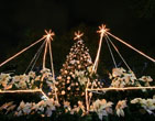 Christmas Wallpapers 196